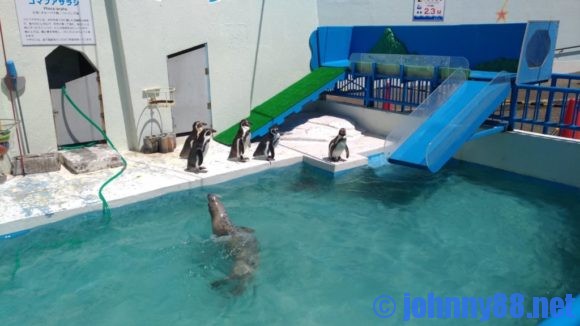 ノシャップ寒流水族館