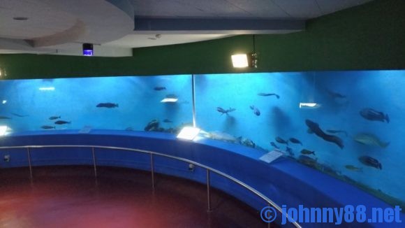 稚内市立ノシャップ寒流水族館