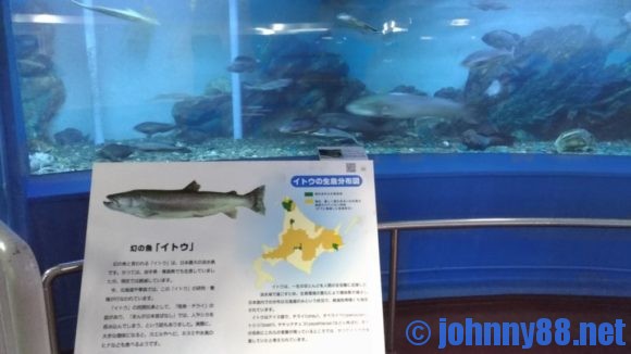 稚内市立ノシャップ寒流水族館