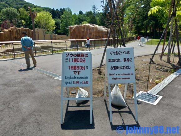 円山動物園のゾウ舎開放時間