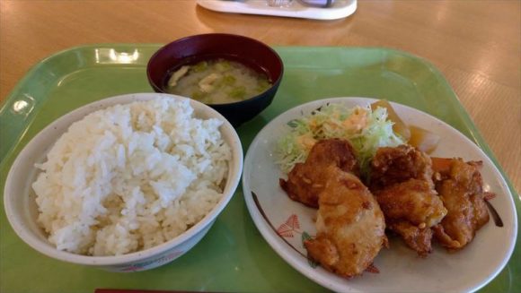 ポリテクセンター北海道食堂のザンダレ定食