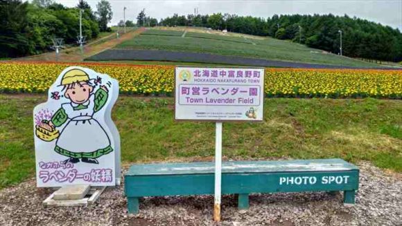 富良野観光スポットおすすめ⑨なかふらの町営北星山ラベンダー園