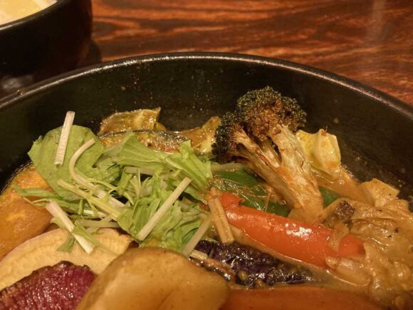 奥芝商店おすすめ①おくしばーぐとおくし畑のスープカレー