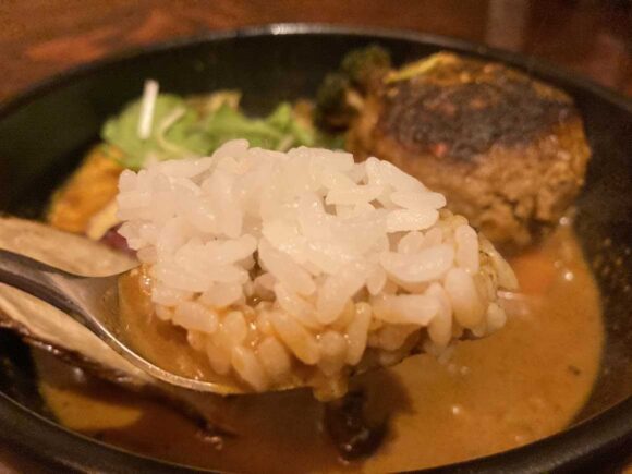 奥芝商店おすすめ①おくしばーぐとおくし畑のスープカレー