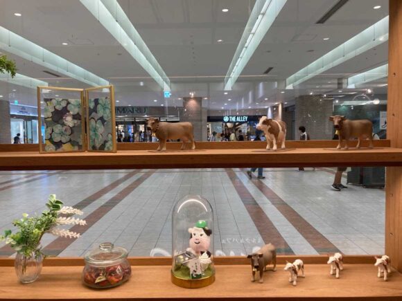 よつ葉ホワイトコージステラプレイス店の店内