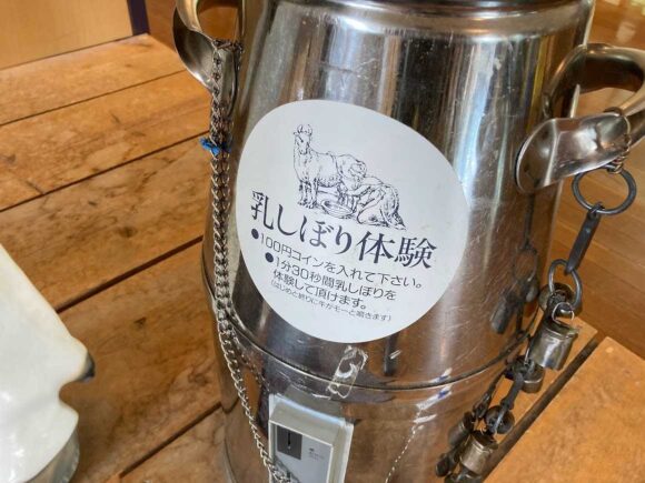 富良野チーズ工房の見どころや楽しみ方（乳搾り体験）