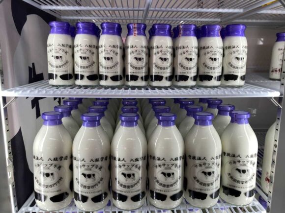 八紘学園 農産物直売所おすすめ②ツキサップ牛乳