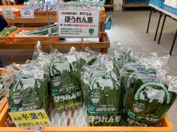 八紘学園おすすめ「農産物直売所」で新鮮野菜をゲット