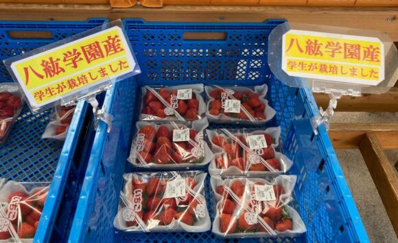 八紘学園おすすめ「農産物直売所」で新鮮野菜をゲット
