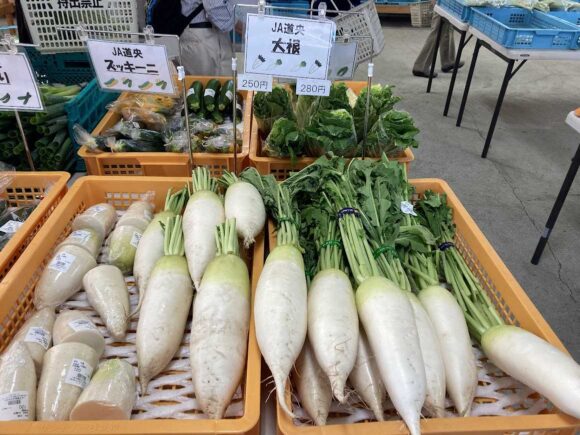 八紘学園おすすめ「農産物直売所」で新鮮野菜をゲット