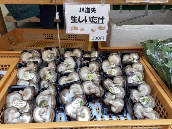 八紘学園おすすめ「農産物直売所」で新鮮野菜をゲット