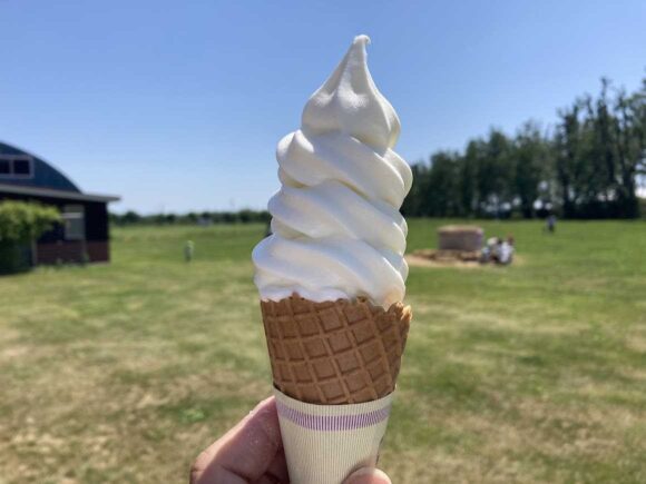 八紘学園 農産物直売所おすすめ①ツキサップソフトクリーム
