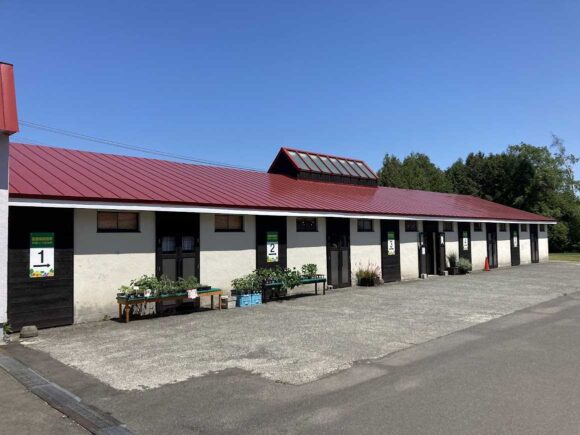 八紘学園おすすめ「農産物直売所」で新鮮野菜をゲット