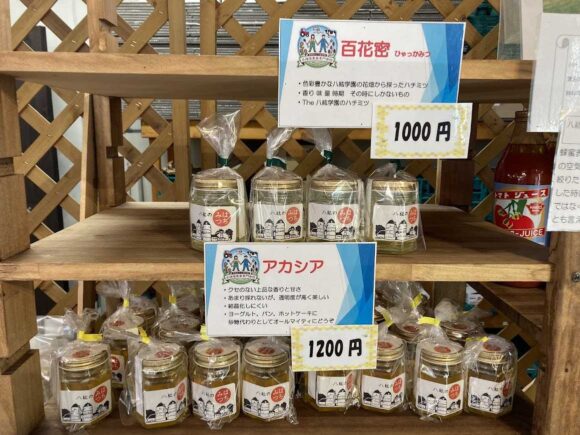 八紘学園おすすめ「農産物直売所」で新鮮野菜をゲット