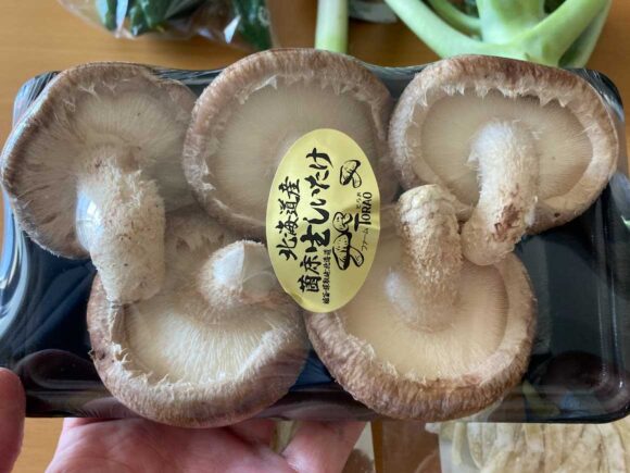 八紘学園おすすめ「農産物直売所」で新鮮野菜をゲット