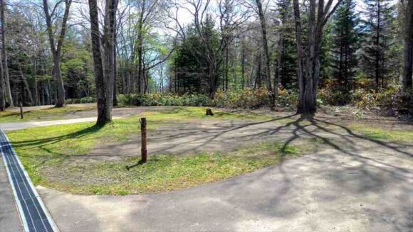古山貯水池自然公園オートキャンプ場のカーサイト