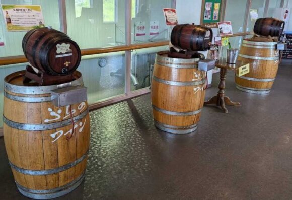 ふらのワイナリー（ワイン工場）おすすめ試飲コーナー