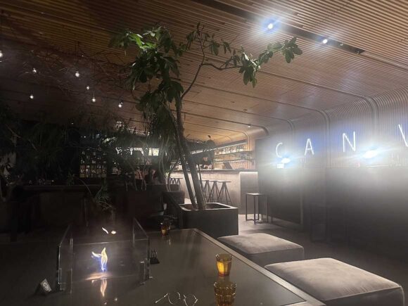 ザ ロイヤルパーク キャンバス 札幌大通公園おすすめCANVAS LOUNGE 「KOKAGE」（2階）