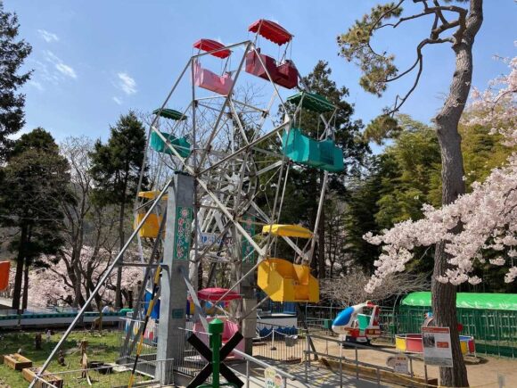 函館公園の桜（花見）おすすめ見頃時期