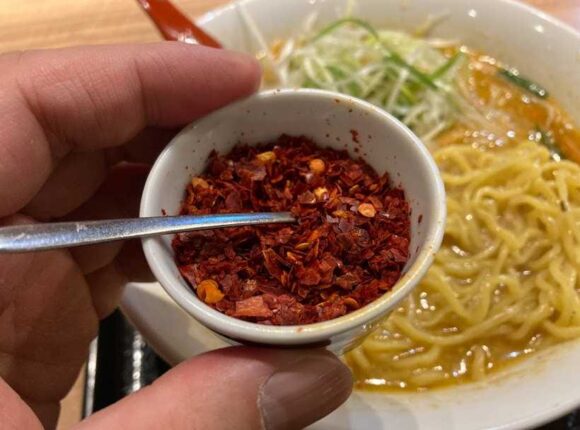 札幌味噌拉麺専門店 けやきおすすめ人気①味噌ラーメン