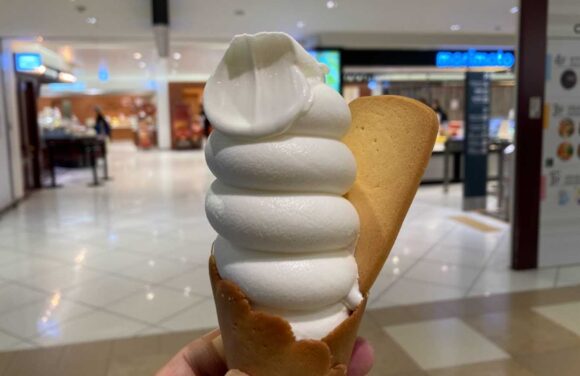 きのとや（新千歳空港）おすすめ人気「酪農ミルクソフト」