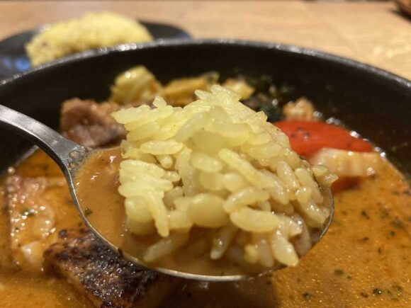 スープカレーGARAKUおすすめ①やわらかチキンレッグと野菜