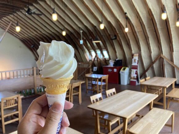 町村農場おすすめ①牧場ミルクソフトクリーム