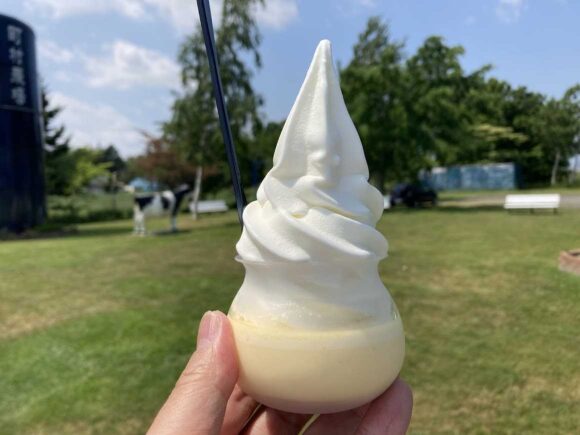 町村農場おすすめ②プリンソフト