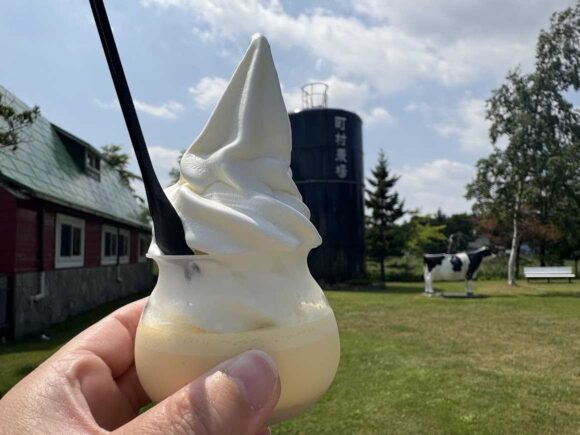 町村農場おすすめ②プリンソフト