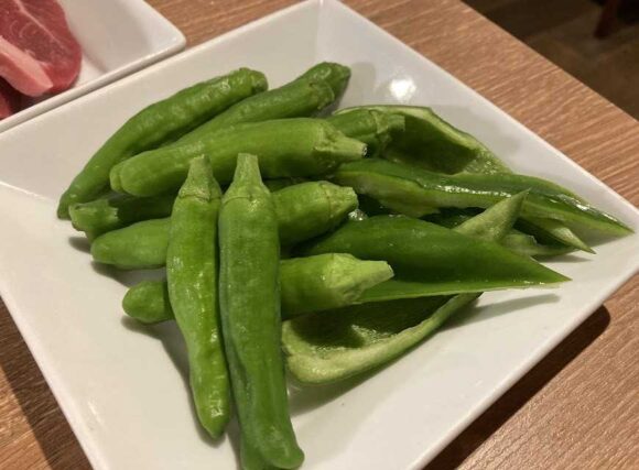 炭火網焼 ジンギスカン 狸小路やまごや おすすめ「ラムショルダー食べ放題」