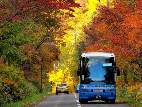 札幌定山渓の紅葉の中を走る観光バス